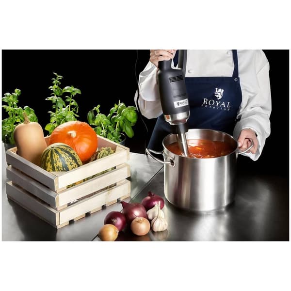 Royal Catering Stavmixer - 350 W - 300 mm - 16 000 r/min