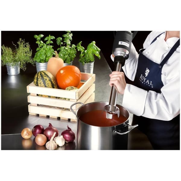 Royal Catering Stavmixer - 350 W - 400 mm - 4000 - 16 000 r/min