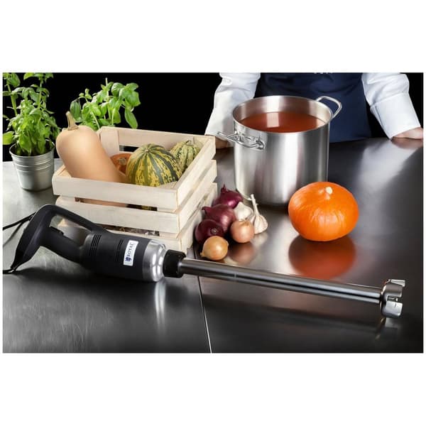 Royal Catering Stavmixer - 500 W - 500 mm - 4000 - 16 000 r/min