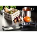 Miniatyrbild 6 av 6: Kraftfull mixer mixer handrobot armlängd 400mm 500W 230V Royal Catering