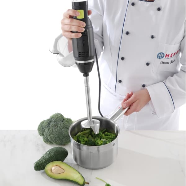 Effektiv stavmixer med hastighetsreglering 250W Hendi 222157