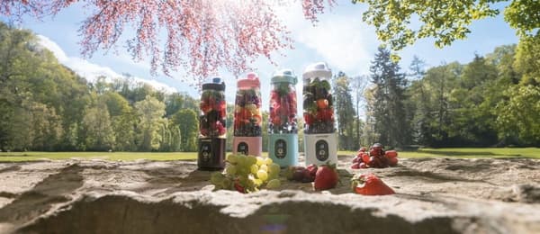 CONCEPT SM4003 trådløs smoothieblender
