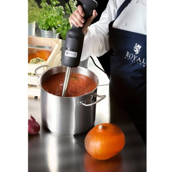 Kraftig mixer blender håndrobot armlængde 400mm 350W 230V Royal Catering