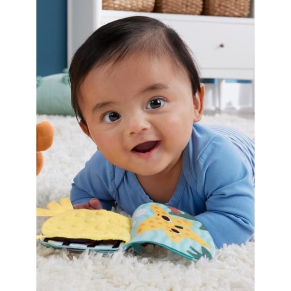 Fisher Price 2i1 Rocking Otter Plyschleksak