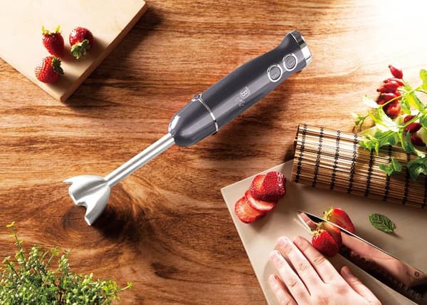 BLENDER RÄNCH BERLINGER HAUS BH-9382
