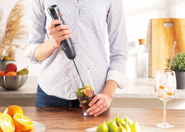 BLENDER RÄNCH BERLINGER HAUS BH-9382