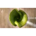 Miniatyrbild 6 av 6: Mixer - PHILIPS - HR2500/00 Pro Blend - 350 W - 0,6 L - Vit