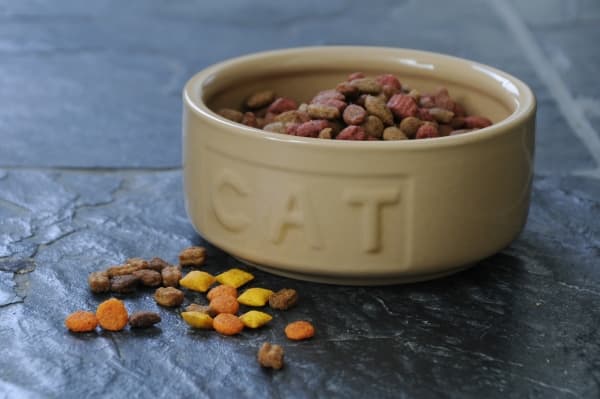 Kattskål CAT Mason och Cash - Ø 13 h 5,5 cm 400 ml - Stengods - cane