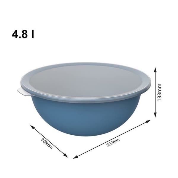 Rotho - 1026206161 - Caruba Bowl 4,8l med lock, Plast (PP) BPA-fri, blå/transparent, 4,8l (32,2 x 30,5 x 13,3 cm)