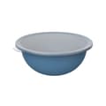 Miniatyrbild 1 av 2: Rotho - 1026206161 - Caruba Bowl 4,8l med lock, Plast (PP) BPA-fri, blå/transparent, 4,8l (32,2 x 30,5 x 13,3 cm)