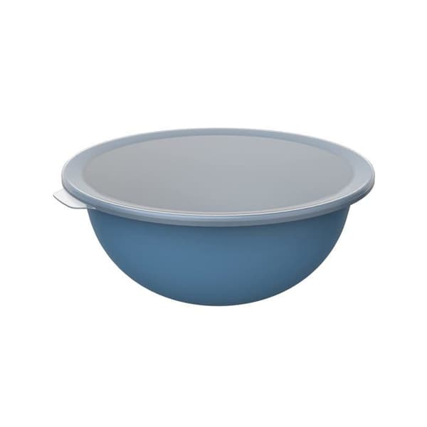 Rotho - 1026206161 - Caruba Bowl 4,8l med lock, Plast (PP) BPA-fri, blå/transparent, 4,8l (32,2 x 30,5 x 13,3 cm)