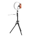 Miniatyrbillede 1 af 3: Selfie Ring Light med stativ og fjernbetjening Celly CLICKGHOSTUSBBK