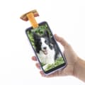 Miniatyrbillede 6 af 9: Klip af selfie til kæledyr Pefie InnovaGoods