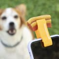 Pikkukuva 3 / 9: Selfie-klipsi lemmikille Pefie InnovaGoods