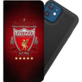 Pikkukuva 1 / 9: Apple iPhone 12  Lompakkokotelo Liverpool