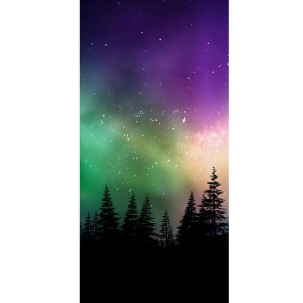 Apple iPhone 13 Pro Tegnebogsetui Nordlys