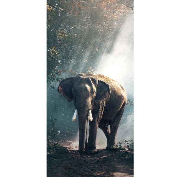 Apple iPhone 13 Pro Tegnebogsetui Elefant