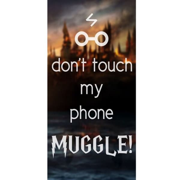Apple iPhone 13 Pro Lommeboketui Harry Potter