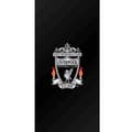 Miniatyrbilde 4 av 4: Apple iPhone 13 Pro Lommeboketui Liverpool FC