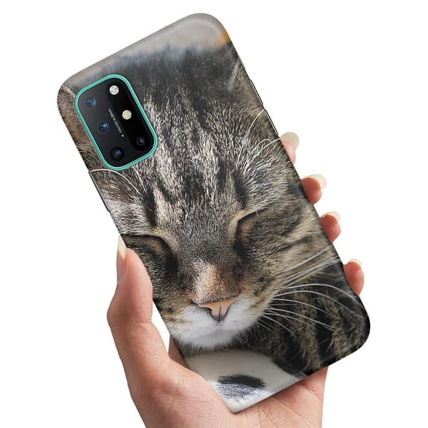 OnePlus 8T - Skal/Mobilskal Sovande Katt