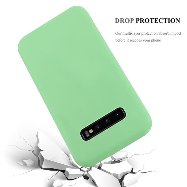 Cover Samsung Galaxy S10 PLUS Etui Case ()