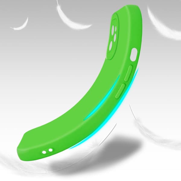 iPhone 12 Cover Etui Case ()