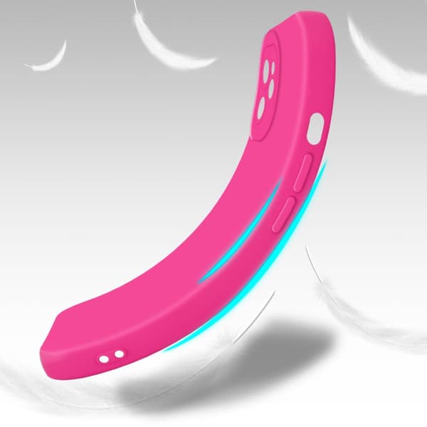 iPhone 12 Cover Etui Case ()