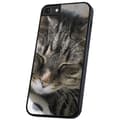 Miniatyrbillede 1 af 2: iPhone 6/7/8 Plus - Cover/Mobilcover Sovende Kat