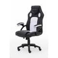 Miniatyrbild 8 av 10: RAPTOR Gamingstol GS-40 Compact Konstläder & Tyg Svart/Vit