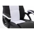 Miniatyrbild 10 av 10: RAPTOR Gamingstol GS-40 Compact Konstläder & Tyg Svart/Vit