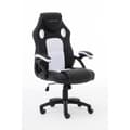 Miniatyrbild 2 av 10: RAPTOR Gamingstol GS-40 Compact Konstläder & Tyg Svart/Vit