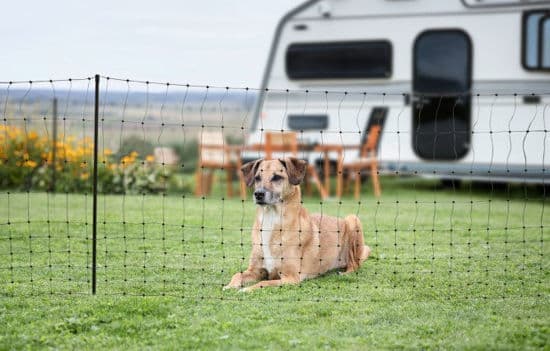 AKO CampingNet 20 meter 80cm grön dubbelstift