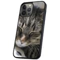 Miniatyrbilde 1 av 2: iPhone 16 Pro - Deksel/Mobildeksel Sovende Katt