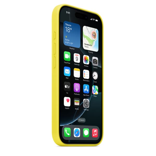 Apple Iphone 16 Pro Silikonecover Med Magsafe