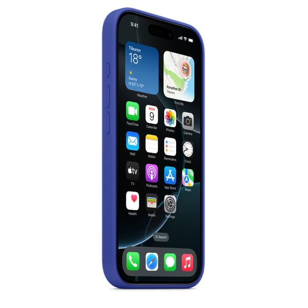 Apple Iphone 16 Pro Silikonecover Med Magsafe