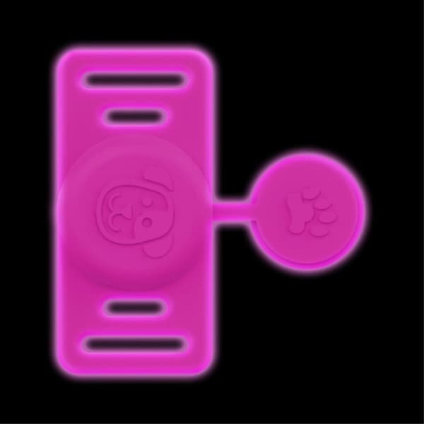 Apple AirTag Skal för Djurhalsband med Lock - Luminous Pink