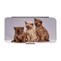 Miniatyrbillede 1 af 3: Funny Cats Etui Til iPhone XS Max
