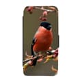 Miniatyrbillede 1 af 3: Bullfinch Etui Til iPhone XS Max