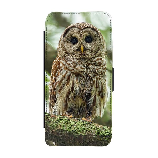 Owl Flippetui Til iPhone 11 Pro Max