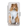 Miniatyrbillede 1 af 3: Shetland Sheepdog Etui Til iPhone 12/iPhone 12 Pro