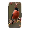 Miniatyrbillede 1 af 3: Bullfinch Etui Til iPhone 12/iPhone 12 Pro