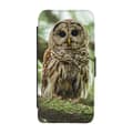 Miniatyrbillede 1 af 3: Owl Etui Til iPhone 12/iPhone 12 Pro