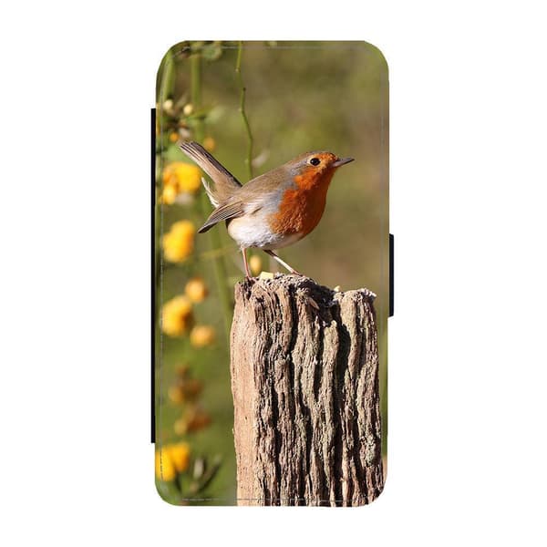 Bird Robin Etui Til iPhone 12/iPhone 12 Pro