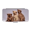 Miniatyrbillede 1 af 3: Funny Cats Etui Til iPhone 12 Mini