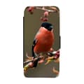 Miniatyrbilde 1 av 3: Bullfinch Flip Telefonetui Til iPhone 12 Pro Max
