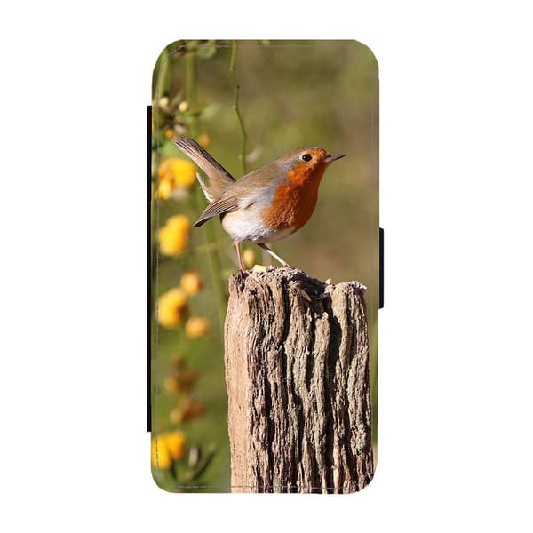 Bird Robin Flip Telefonetui Til iPhone 12 Pro Max