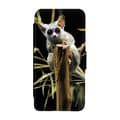 Miniatyrbillede 1 af 3: Bushbaby Etui Til iPhone 13 Mini
