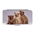 Miniatyrbillede 1 af 3: Funny Cats Etui Til iPhone 14