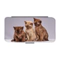 Miniatyrbilde 1 av 3: Funny Cats Flip Telefonetui Til iPhone 15