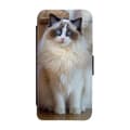Miniatyrbilde 1 av 3: Ragdoll Cat Flip Telefonetui Til iPhone 15